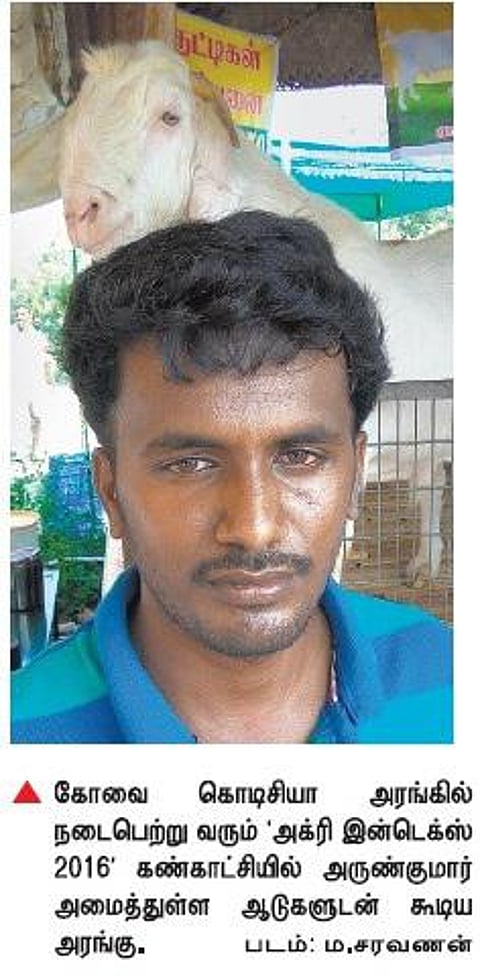 எம்.பி.ஏ. முடித்துவிட்டு ஆடு வளர்ப்பில் களம் இறங்கி சாதித்த இளைஞர்