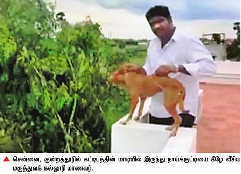 வழக்கில் சிக்கினால் அபராதம் ரூ.50 மட்டுமே: விலங்குகள் வதை தடுப்புச் சட்டம் காலத்திற்கேற்ப வலுப்படுத்தப்படுமா?