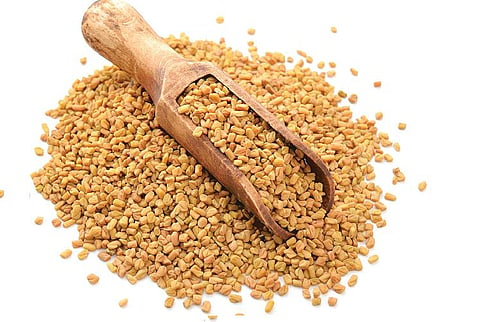 நீரிழிவுக்கு அற்புத மருந்து வெந்தயம்