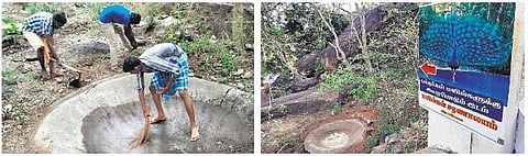 விராலிமலையில் மயில்கள் சரணாலயம்: இளைஞர்கள் தீவிர முயற்சி