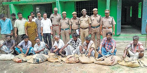 படாளம் சர்க்கரை ஆலையில் பாம்புகளை பிடித்த 8 பேரிடம் வனத்துறையினர் விசாரணை: 360 பாம்புகள் பறிமுதல்