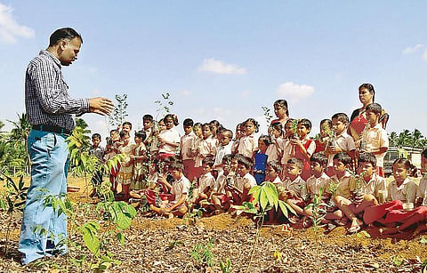 இடைவெளி இல்லா அடர்காடு: ஜப்பான் முறை திருப்பூரில் அறிமுகம்