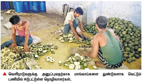 தேனியில் மாம்பழம் குளிர்பதன கிடங்கு அமைக்கப்படுமா?- விவசாயிகள் எதிர்பார்ப்பு