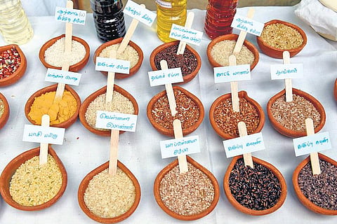 இயற்கையைத் தேடி வந்த பெண்கள்