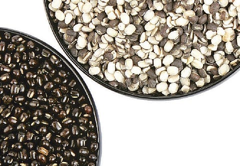 உடல் வளர்க்கும் உளுந்து