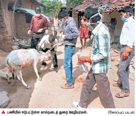 கால்நடைத் துறையில் ஊழியர்களின் பணிச்சுமையைக் குறைக்க நியமனங்கள் விரைவுபடுத்தப்படுமா?- 3,300-க்கும் அதிகமான காலிப் பணியிடங்கள்
