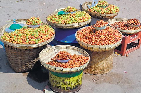 கிழக்கில் விரியும் கிளைகள் 41: பள்ளிப்பருவப் பழத்தை மறந்துபோனோமே!