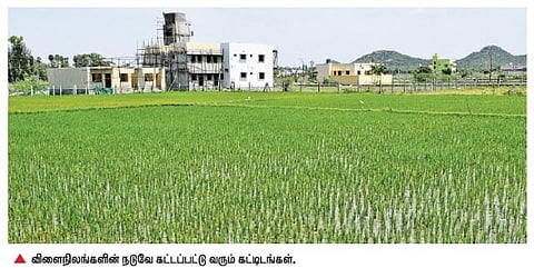 திருக்கழுகுன்றம், மாமல்லபுரம் பகுதியில் வீட்டு மனைகளான 1 லட்சம் ஹெக்டேர் விளைநிலங்கள்: அழிவுப்பாதையில் செல்லும் விவசாயம்