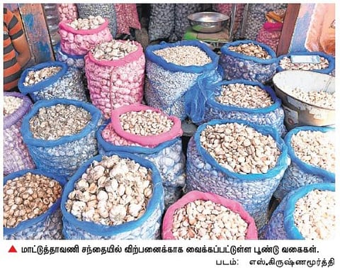 தமிழகத்தில் பூண்டு விலை கடும் உயர்வு: ஒரு கிலோ ரூ.450-க்கு விற்பனை
