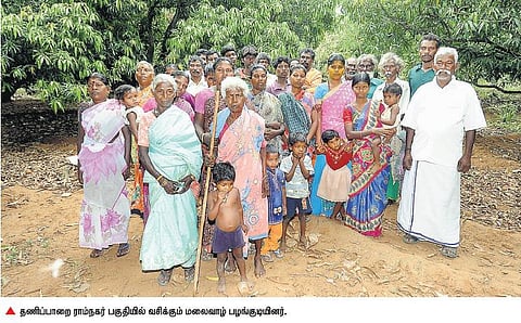 மலையில் சேகரிக்கப்படும் மூலிகைகளை மதிப்புக்கூட்டு பொருளாக்க அரசு உதவுமா?- பயிற்சி பெற காத்திருக்கும் மலைவாழ் மக்கள்