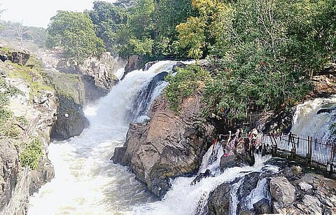 ஒகேனக்கல்லுக்கு நீர்வரத்து: 8,500 கன அடியாக அதிகரிப்பு