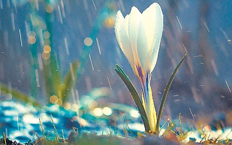 ஓஷோ சொன்ன கதை: மழையை அழைத்து வருபவன்