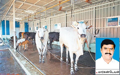 முன்னத்தி ஏர் 45: முன்னாள் எம்.எல்.ஏ.யின் இயற்கை மாட்டுப் பண்ணை