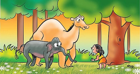 சித்திரக்கதை: ஒல்லி மல்லி குண்டு கில்லி