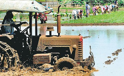 விவசாயிகளின் பயிர்க்கடன் ரூ.5,780 கோடி தள்ளுபடி: பயனாளிகள் விவரம் இணையதளத்தில் வெளியீடு - ஆட்சேபம் தெரிவிக்க 2 வாரம் அவகாசம்