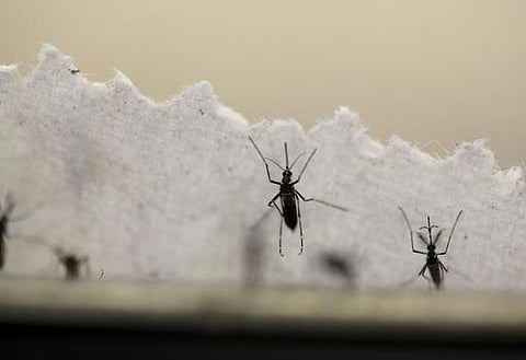 டெல்லி எய்ம்ஸ்-சில் டெங்கு காய்ச்சலுக்கு 5 பேர் பலி