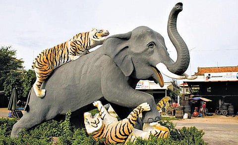 அறிவோம் நம் மொழியை: கொன்ற யானையா, கொல்லப்பட்ட யானையா?