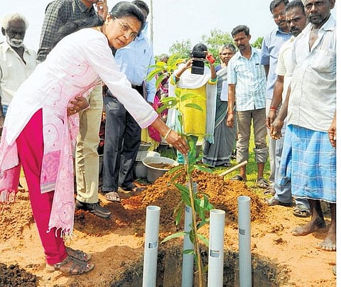 புதிய தொழில்நுட்பத்தில் மரக்கன்று நடும் பணி: காஞ்சிபுரம் மாவட்ட ஆட்சியர் தொடங்கிவைத்தார்