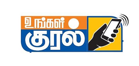 திருப்பூரில் அதிகரிக்கும் நாய் தொந்தரவால் மக்கள் அச்சம்