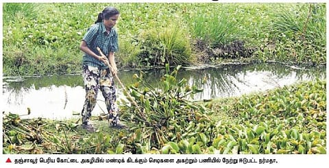 தஞ்சை அகழியில் தூய்மை பணியில் தனி ஆளாக ஈடுபட்ட சென்னை பெண்