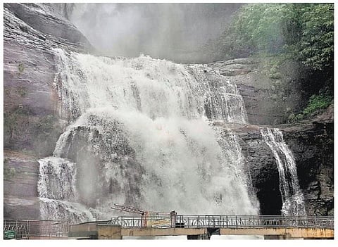 எண்ணெய், சீயக்காய் பயன்படுத்துவதால் குற்றால அருவிகளில் சுற்றுச்சூழல் பாதிக்கப்படுமா?