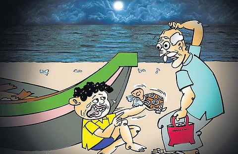 சித்திரக் கதை: ஆமைகளின் நண்பர்கள்!