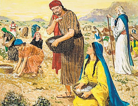 பைபிள் கதைகள் 27: வானிலிருந்து ஒரு உணவு!