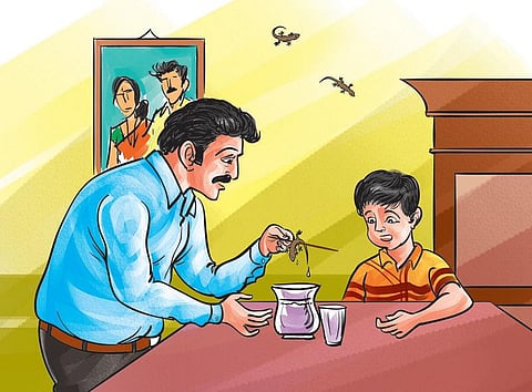 சந்தேகம் சரியா 10: பல்லி விழுந்த உணவு விஷமா?