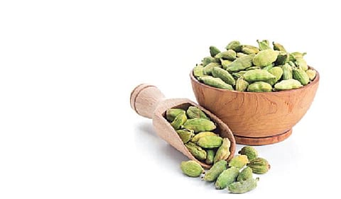 இறக்குமதி குறைந்ததால் இந்திய ஏலக்காய் விலை உயர்வு