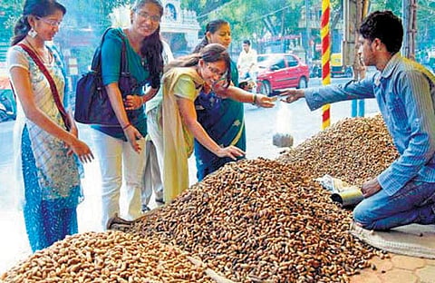 பெங்களூருவில் கடலைக்காய் திருவிழா தொடக்கம்: தமிழக விவசாயிகள் அதிகளவில் பங்கேற்பு