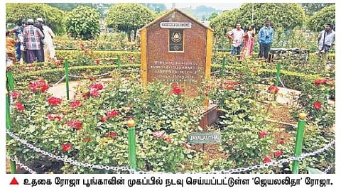 ஜெயலலிதாவின் ஊட்டி வரை உறவு