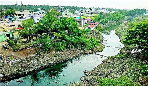 நொய்யல் இன்று 3: பஞ்சத்துக்கு மீன் தந்த அணை இன்று தருவது சொறி, சிரங்கு