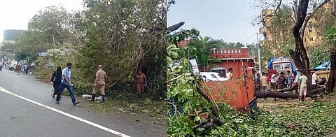 வார்தா தாண்டவம்: களைப்பில்லாமல் உழைக்கும் காவல்துறை