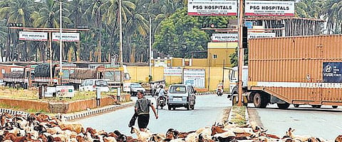 கோவை புறநகரில் ‘விபத்து அபாயம் மிக்க பகுதி சூலூர்’: தேசிய நெடுஞ்சாலை விபத்துகளைக் கட்டுப்படுத்த திட்டம்
