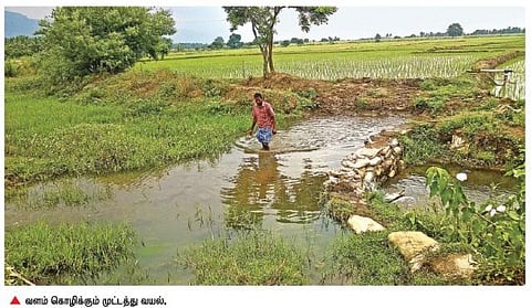 நொய்யல் இன்று 25: இளைய மகளைக் காணாது கோபம் கொள்ளும் காவிரிக்கு என்னதான் பரிகாரம்?
