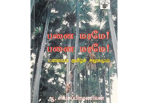 உங்களிடம் இருக்கிறதா இந்தப் புத்தகம்? - பனை மரமே! பனை மரமே!