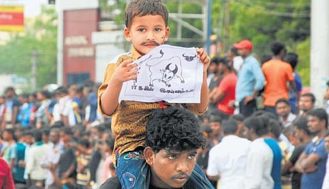 ஒரு பண்பாட்டு மென்பொருளும் ஜல்லிக்கட்டு செயலியும்!