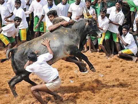 ஜல்லிகட்டு மசோதாவில் குடியரசு தலைவர் கையெழுத்திட்டார்: உடனடியாக அமலாக இருக்கும் நிரந்தர சட்டதிருத்தம்