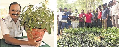 உள்நாட்டு மரங்கள் வளர்ப்பதை ஊக்குவிக்கும் காவல் ஆய்வாளர்: 6 ஆண்டுகளில் 22,315 மரக்கன்றுகள் அன்பளிப்பு