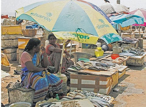 கச்சா எண்ணெய் படலம்: மீனவர் வாழ்வாதாரம் கடும் பாதிப்பு