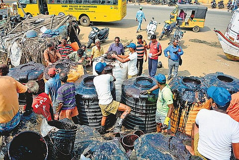 எண்ணெய் படலம் அகற்றும் பணியை மத்திய, மாநில மாசு கட்டுப்பாட்டு வாரியங்கள் ஆய்வு செய்ய வேண்டும்: தேசிய பசுமை தீர்ப்பாயம் உத்தரவு