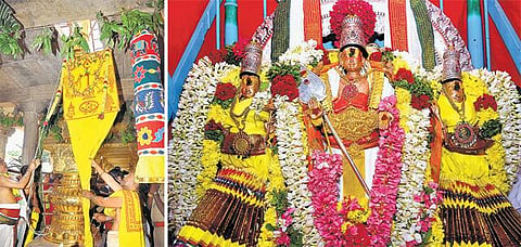 பழநி தைப்பூச திருவிழா கொடியேற்றம்: வரும் 9-ம் தேதி தேரோட்டம்