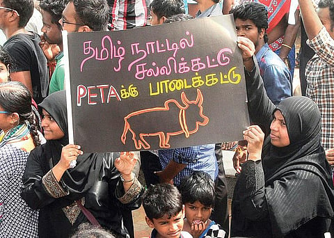 ஜல்லிக்கட்டுப் போராட்டத்தில் முஸ்லிம்கள் பங்கேற்றதில் ஆச்சர்யம் என்ன?