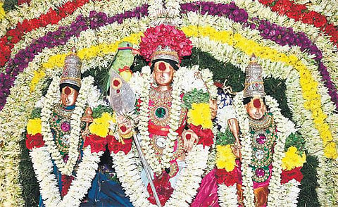 பழநியில் தைப்பூச தேரோட்டம்