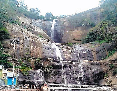 நெல்லையில் இதமான காலநிலை சேர்வலாறு அணையில் 23 மி.மீ. மழை