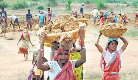 வறட்சியால் கூடுதலாக 50 நாட்கள் வேலைக்கு அனுமதி; ஊரக வேலை திட்டத்தின்கீழ் தொடர்ச்சியாக வேலை வழங்கப்படுமா?- விவசாய தொழிலாளர்கள் எதிர்பார்ப்பு