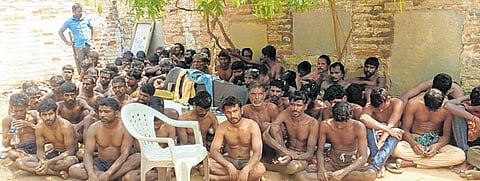 செம்மரம் கடத்த முயன்றதாக 159 தமிழர்கள் கைது: ஆந்திர அதிரடிப்படையினர் நடவடிக்கை