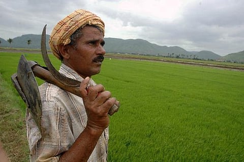 வேலை வேண்டுமா: விவசாய அதிகாரி ஆகலாம்