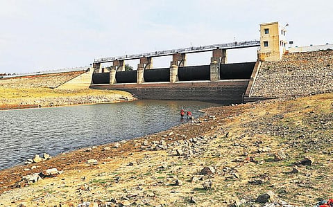 வறண்டு வரும் பாம்பாறு அணை; குடிநீர், விவசாயம் பாதிக்கும் அபாயம் - 22 அடி தண்ணீர் 2 அடியாக குறைந்த அவலம்