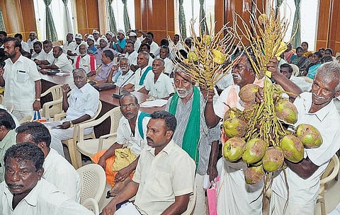 குளிர்பான ஆலைகளுக்கு தாமிரபரணி தண்ணீர் வழங்க நிரந்தரத் தடை: குறைதீர் கூட்டத்தில் விவசாயிகள் ஆவேசம்